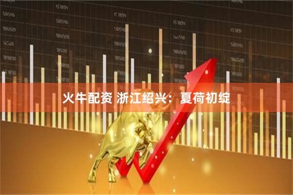火牛配资 浙江绍兴：夏荷初绽